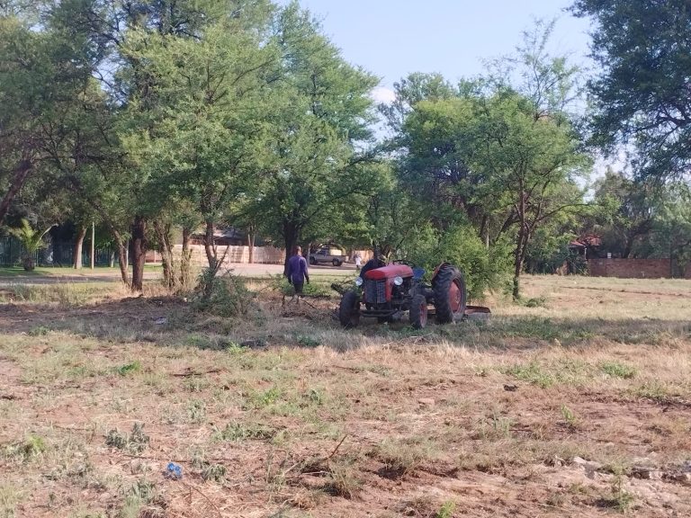 Songloed-gemeenskap verander park van misdaadnes na lushof