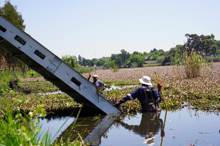 AfriForum teken appèl aan teen Ekurhuleni-metro oor rioolbesoedeling